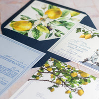 Positano Collection Sample