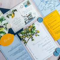 Positano Collection Sample