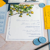 Positano Collection Sample