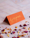 Rust Orange Folded Place Cards - Wedding / Event Place Settings