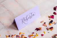 Lavender Folded Place Cards - Wedding / Event Place Settings / Lilac / Pastel