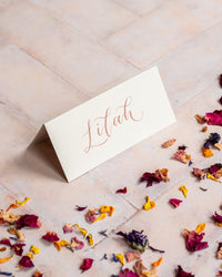 Mist Folded Place Cards - Wedding/Event Place Settings / Natural / Beige / Cream