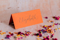 Rust Orange Folded Place Cards - Wedding / Event Place Settings