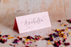 Candy Pink Folded Place Cards - Wedding / Event Place Settings