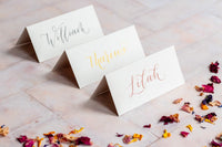 Mist Folded Place Cards - Wedding/Event Place Settings / Natural / Beige / Cream